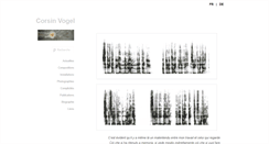 Desktop Screenshot of corsinvogel.com
